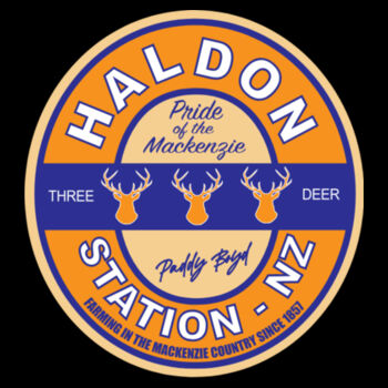 Haldon Stadium Shorts Design